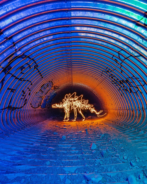 Stegosaurus Print