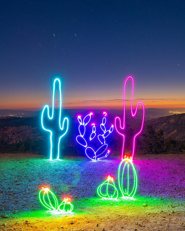 Sunset Cacti Print