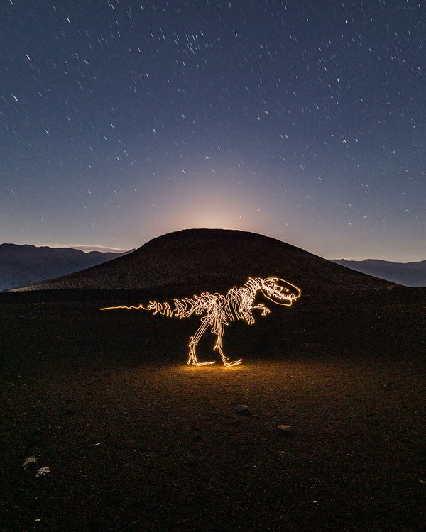 T Rex Cinder Cone Print