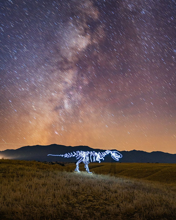 T Rex Plains Print