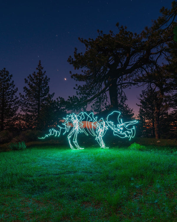 Teal Triceratops Print