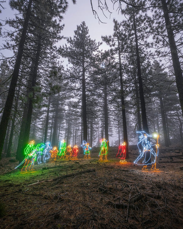 The Fellowship Print