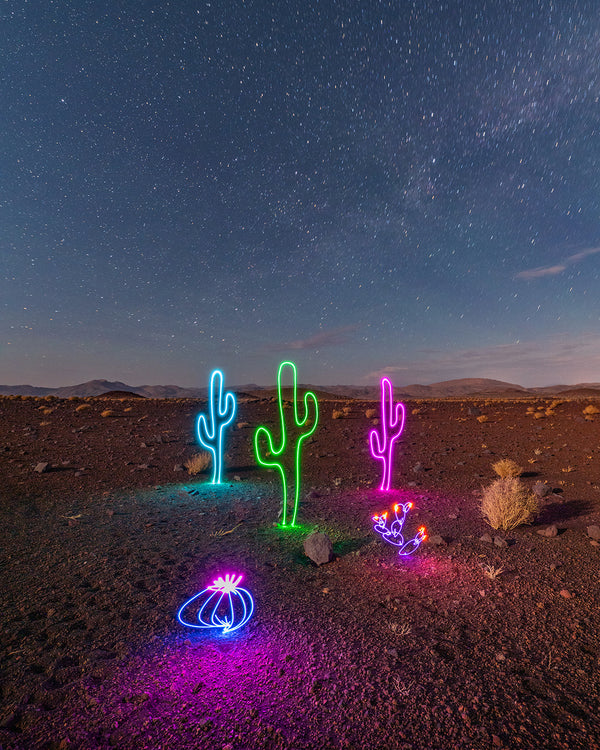 Volcanic Cacti Print