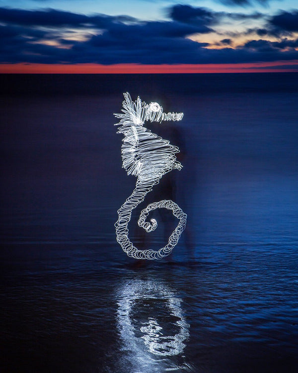 Seahorse Print