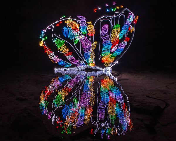 Super Fly Butterfly Print