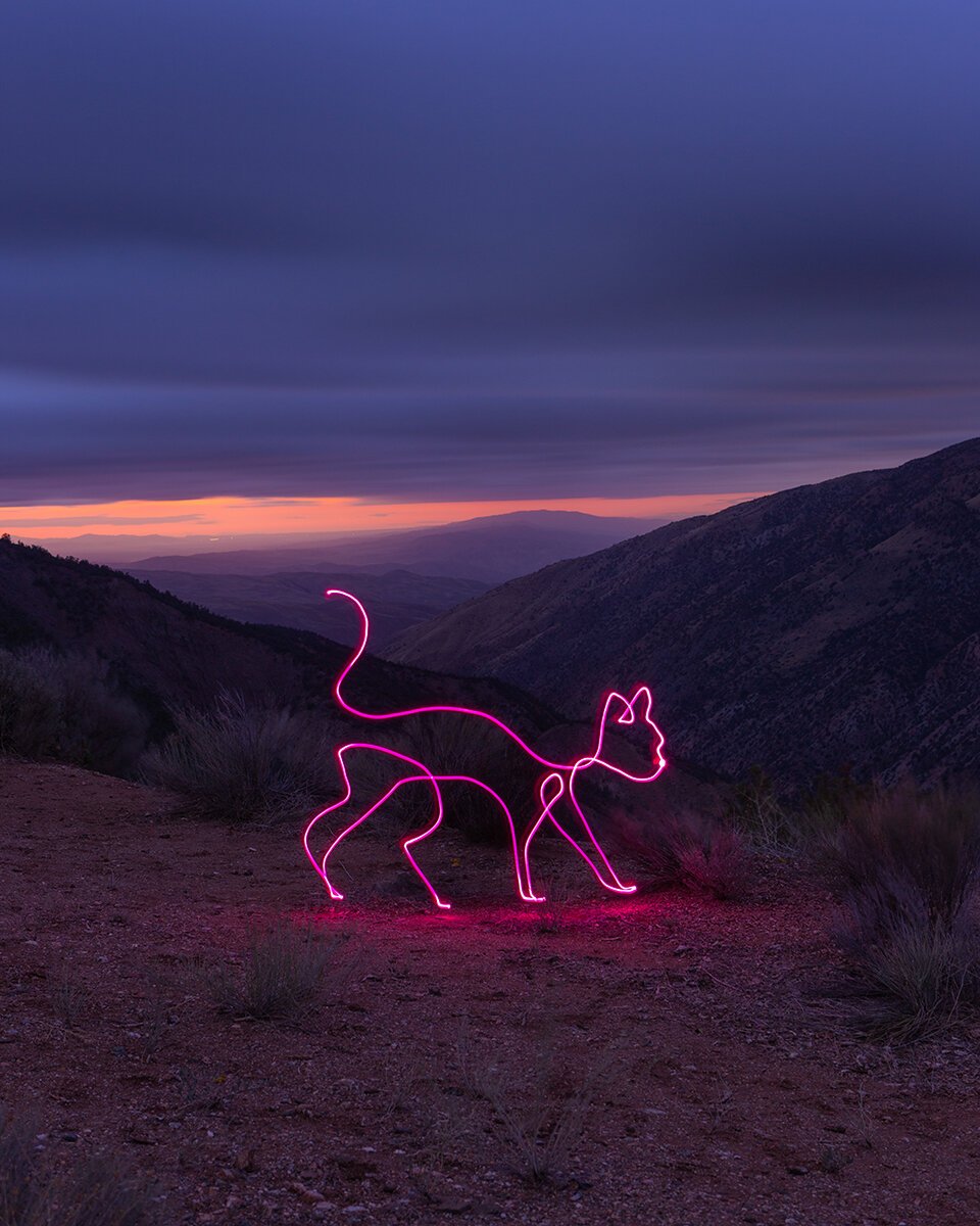 One Line Light Painting Prints | Minimalist Art by Dariustwin