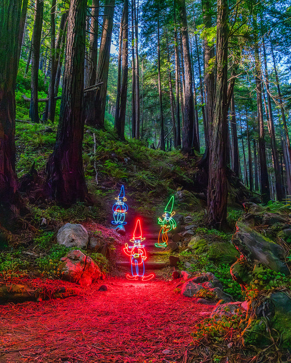 3 Redwood Gnomes Print