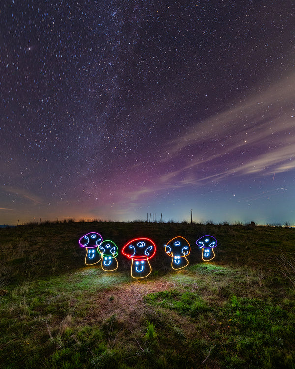 Aurora Mushrooms Print