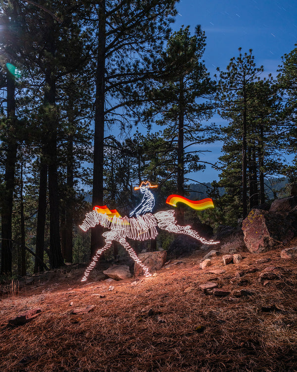 Cowboy On Horse Print