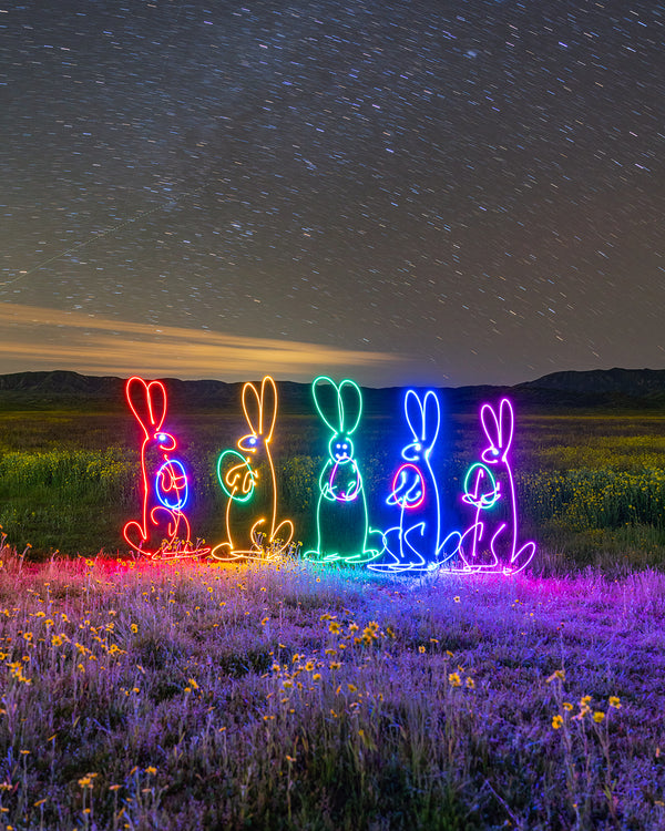 Easter Bunnies Print