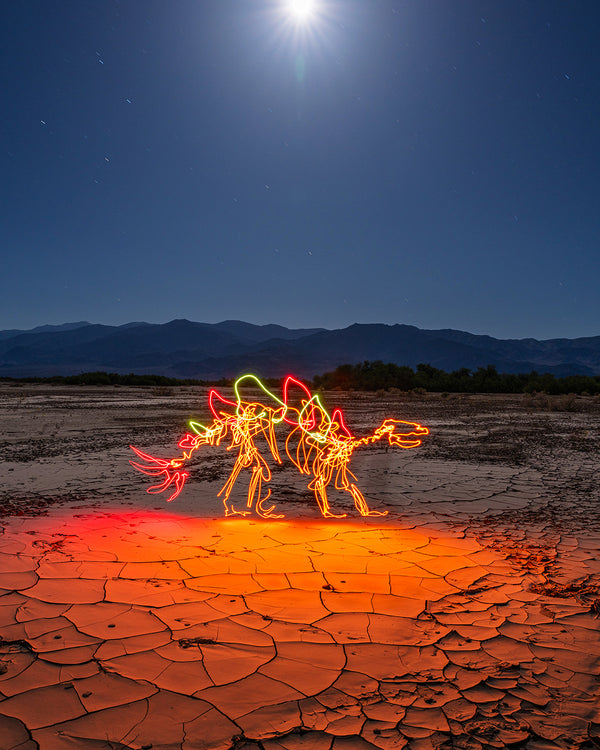 Fire Stego Print