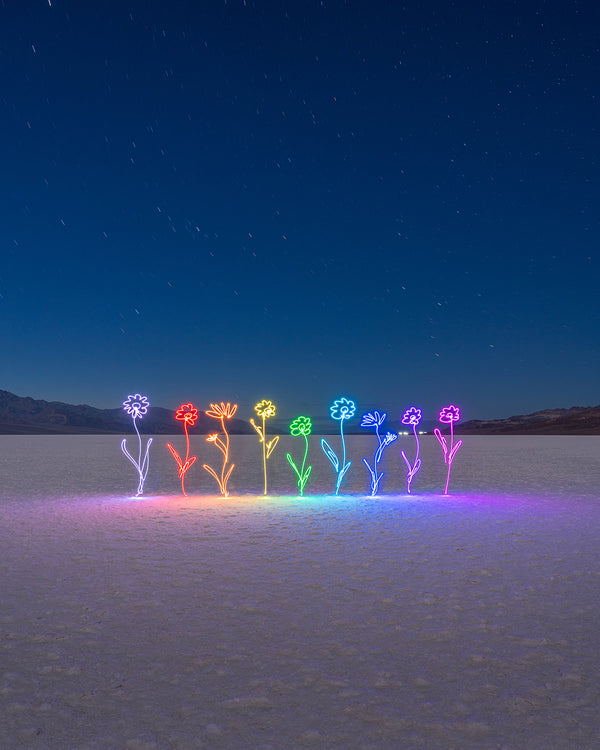 Flowers Salt Flats Print