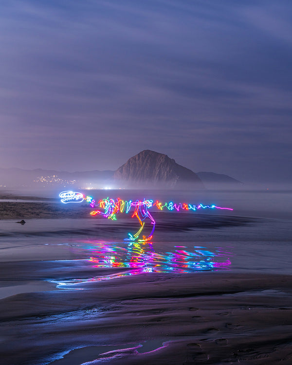 Morro Strand Raptor Print