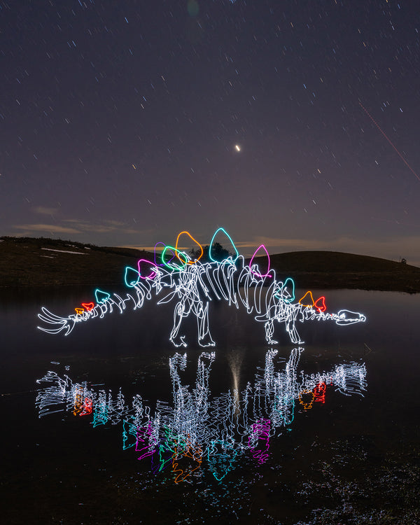 Pond Stegosaurus Print
