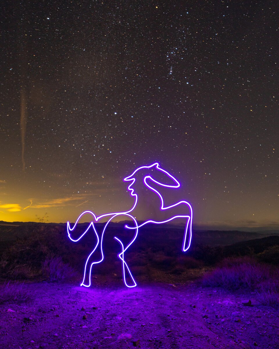 Star Stallion Print – Dariustwin