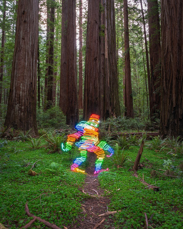 Rainbow Bigfoot Print