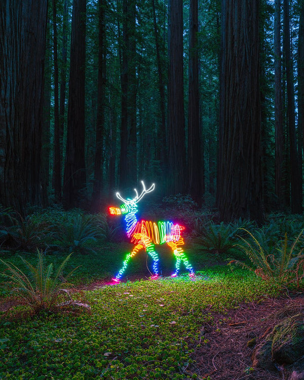 Rainbow Deer Print