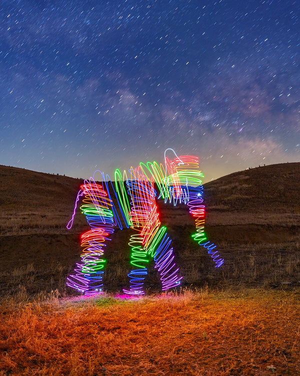Rainbow Elephant Milky Way Print