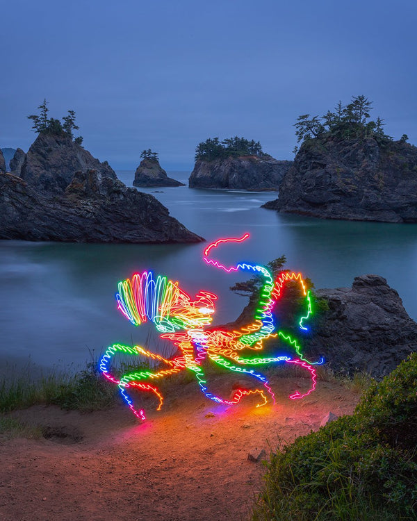 Rainbow Octopus Print