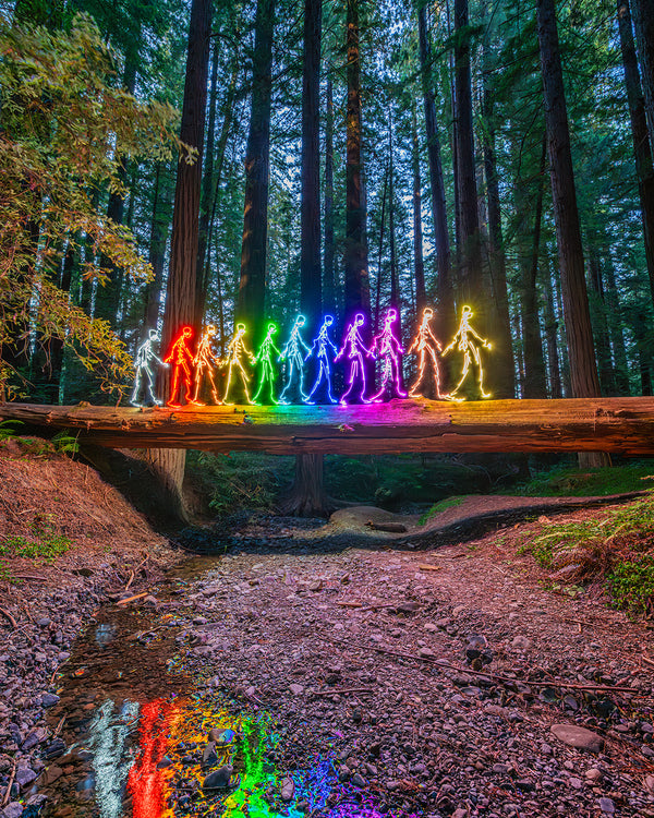 Redwood Spirits Crossing Print