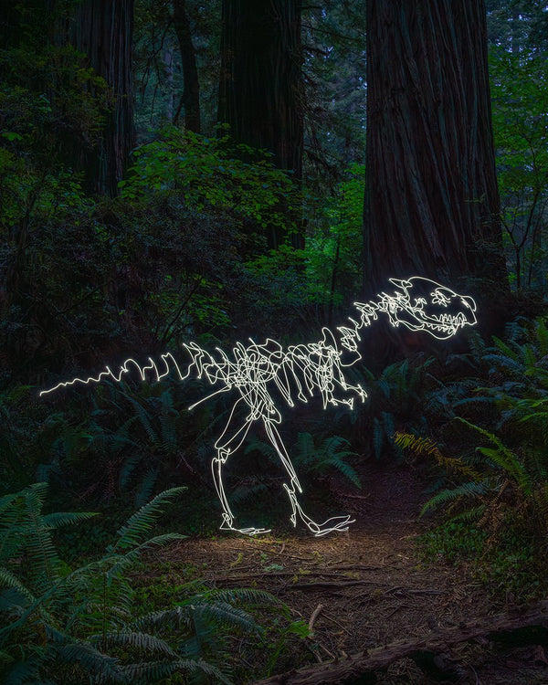 Redwoods T Rex Print