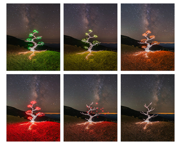 Seasons Sequence Print
