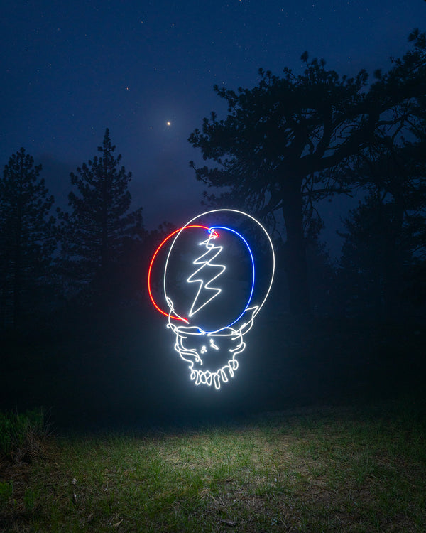 Steal Your Face Print