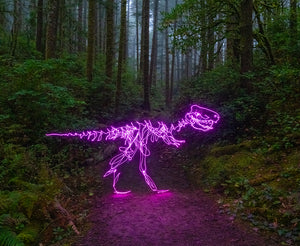 A pink T-rex dinosaur created with light painting photography in a forest during a long-exposure night photo.